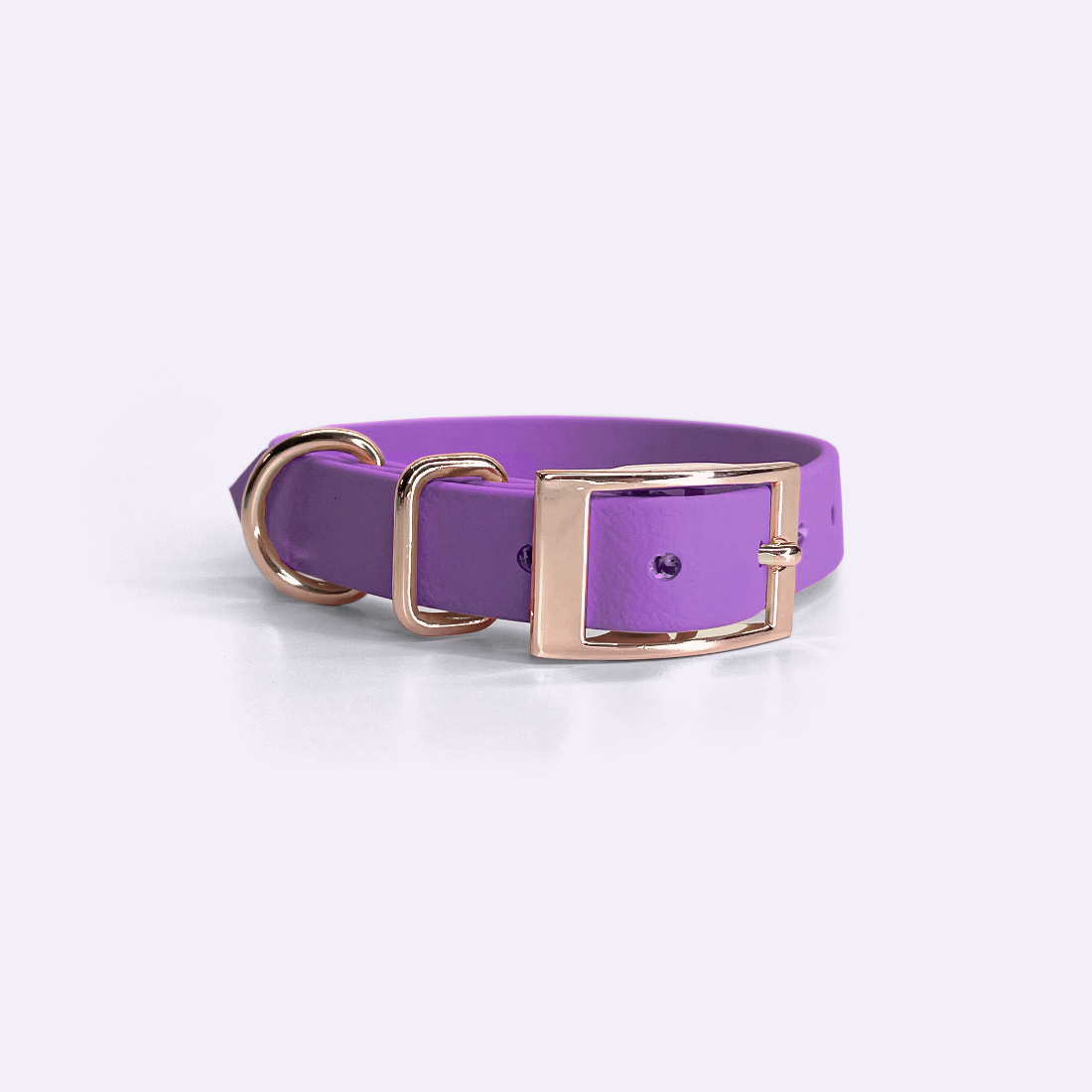 Lilac collar Mini