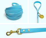 Aquamarine leash
