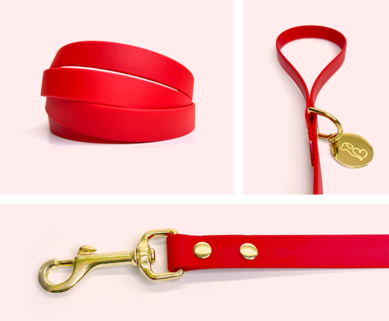 Scarlet leash