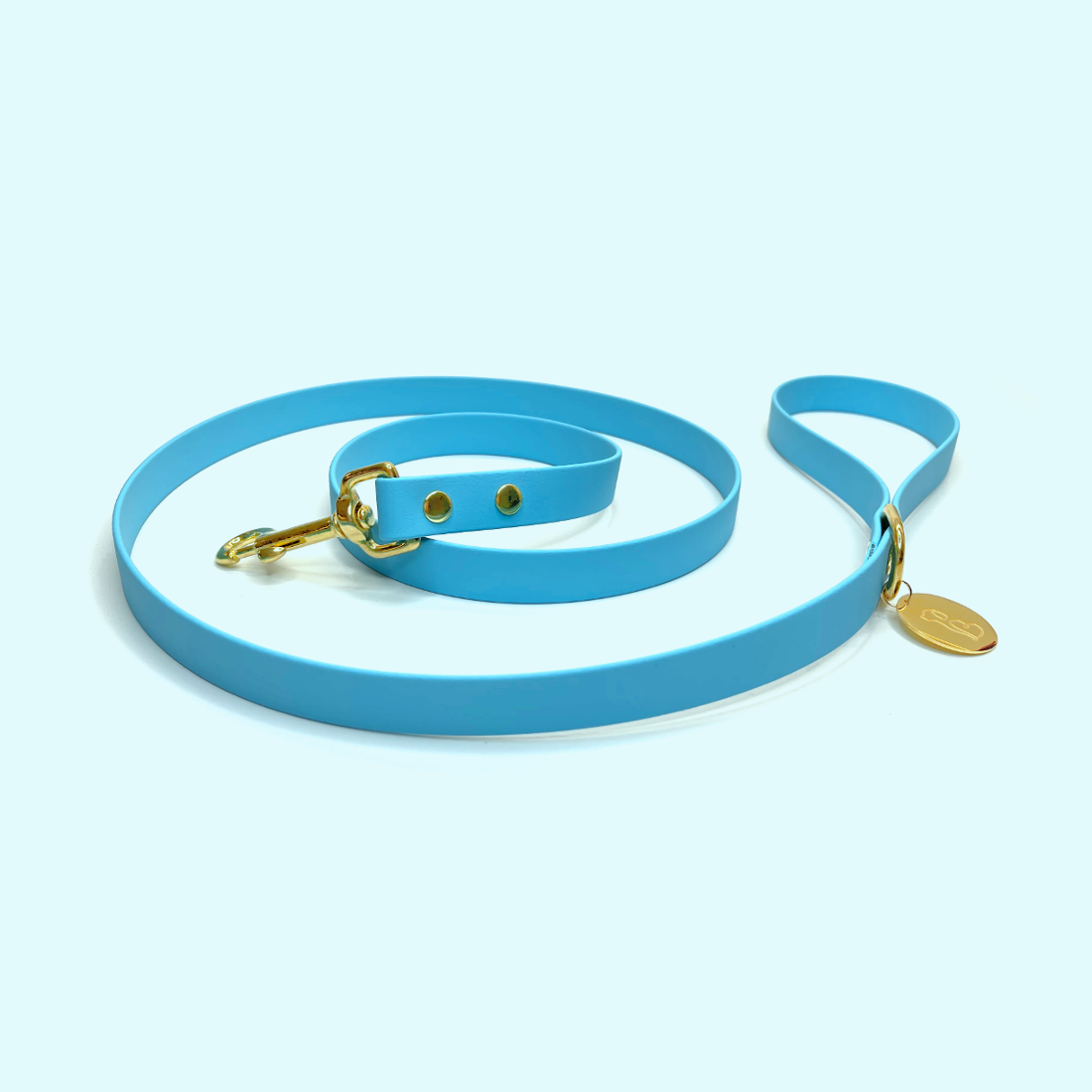 Aquamarine leash